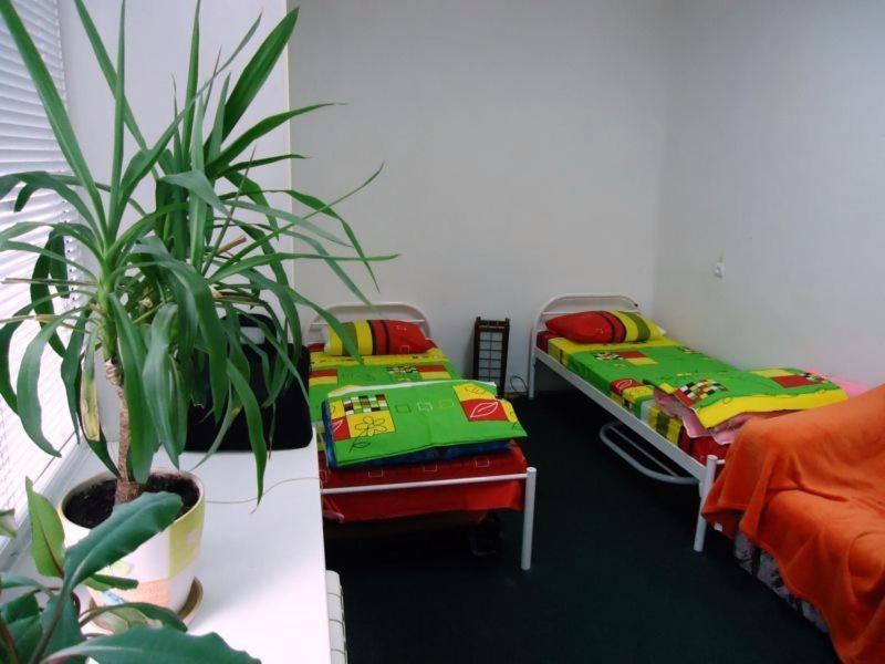 Hostel Kreshatik Kyiv Room photo